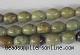 CSL103 15.5 inches 8*10mm rice silver leaf jasper beads wholesale