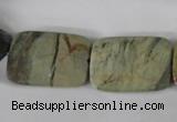 CSL121 15.5 inches 18*25mm faceted rectangle silver leaf jasper beads