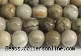 CSL150 15.5 inches 4mm round 

sliver leaf jasper beads wholesale