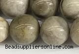 CSL154 15.5 inches 12mm round 

sliver leaf jasper beads wholesale