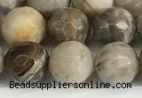 CSL159 15.5 inches 10mm faceted 

round sliver leaf jasper beads