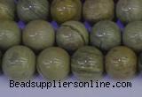 CSL203 15.5 inches 10mm round silver leaf jasper beads wholesale