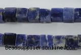 CSO351 15.5 inches 8*8mm cube natural sodalite gemstone beads