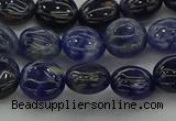 CSO670 15.5 inches 10mm flat round sodalite gemstone beads