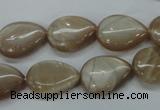 CSS220 15.5 inches 13*18mm flat teardrop natural sunstone beads