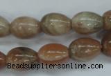 CSS248 15.5 inches 12*16mm teardrop natural sunstone beads