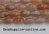 CSS265 15.5 inches 5*8mm rice sunstone beads wholesale