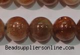 CSS555 15.5 inches 10mm round natural golden sunstone beads