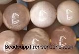 CSS693 15.5 inches 10mm round sunstone beads wholesale