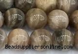 CSS841 15 inches 8mm round sunstone gemstone beads