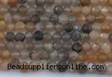 CSS846 15 inches 3mm faceted round sunstone beads