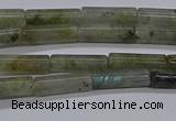 CTB353 15.5 inches 4*13mm tube labradorite beads wholesale