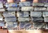 CTB674 14*27mm - 15*28mm faceted flat tube labradorite beads