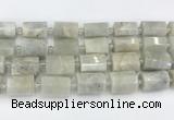 CTB876 13*25mm - 14*19mm faceted tube moonstone beads