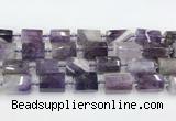 CTB877 13*25mm - 14*19mm faceted tube amethyst beads