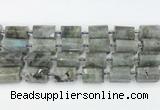 CTB878 13*25mm - 14*19mm faceted tube labradorite beads