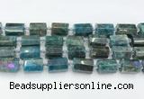 CTB888 15.5 inches 13*25mm - 14*19mm faceted tube apatite beads