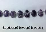 CTD2144 Top drilled 15*25mm - 18*25mm freeform dogtooth amethyst beads