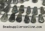 CTD2275 Top drilled 16*28mm - 20*30mm faceted freeform labradorite beads