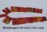 CTD2666 Top drilled 14*27mm - 16*42mm rectangle agate jasper beads