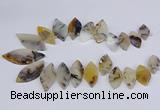 CTD2735 Top drilled 15*30mm - 25*50mm marquise montana agate beads