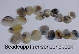 CTD2736 Top drilled 20*25mm - 35*45mm freeform Montana agate beads