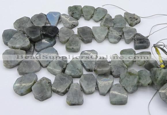 CTD333 Top drilled 15*20mm - 25*30mm freeform labradorite beads