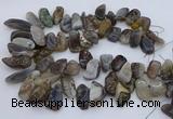 CTD3525 Top drilled 12*20mm - 15*40mm freeform botswana agate beads