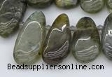 CTD3531 Top drilled 10*22mm - 15*45mm freeform labradorite beads