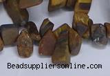 CTD3616 Top drilled 10*14mm - 13*18mm nuggets yellow tiger eye beads