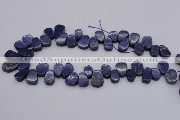 CTD377 Top drilled 10*14mm - 15*20mm freeform lapis lzuli beads