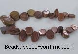 CTD788 Top drilled 15*20mm - 25*35mm freeform plated agate beads