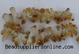 CTD840 Top drilled 10*20mm - 15*30mm nuggets citrine gemstone beads