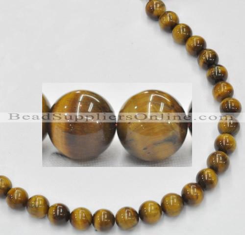 CTE08 15.5 inches 12mm round yellow tiger eye beads Wholesale