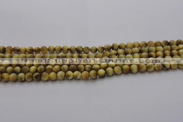 CTE1411 15.5 inches 6mm round golden tiger eye beads wholesale