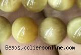 CTE2010 15.5 inches 10mm round golden tiger eye beads wholesale