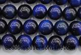 CTE416 15.5 inches 8mm round blue tiger eye beads wholesale