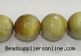 CTE906 15.5 inches 16mm faceted round golden tiger eye beads