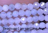 CTG1043 15.5 inches 2mm faceted round tiny aquamarine beads