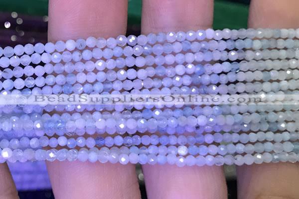 CTG1043 15.5 inches 2mm faceted round tiny aquamarine beads