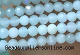 CTG1049 15.5 inches 2mm faceted round tiny amazonite beads