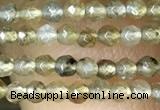 CTG1077 15.5 inches 2mm faceted round tiny labradorite beads