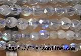 CTG1078 15.5 inches 2mm faceted round tiny labradorite beads