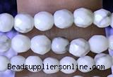 CTG1170 15.5 inches 3mm faceted round tiny white howlite beads