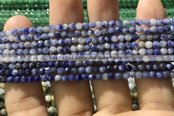 CTG1192 15.5 inches 3mm faceted round tiny blue spot stone beads