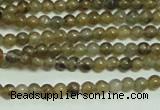 CTG133 15.5 inches 3mm round tiny labradorite gemstone beads wholesale