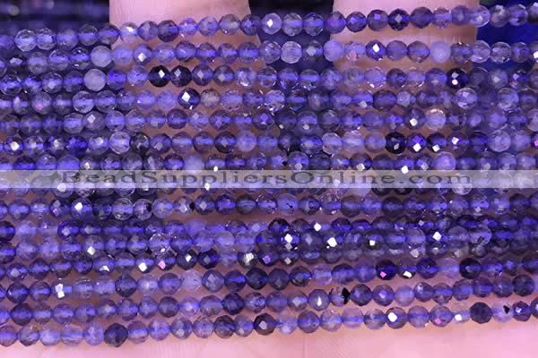 CTG1330 15.5 inches 3mm faceted round iolite beads wholesale