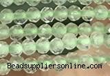 CTG1346 15.5 inches 2mm faceted round prehnite beads wholesale