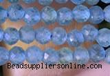 CTG1380 15.5 inches 2mm faceted round tiny apatite beads