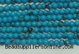 CTG144 15.5 inches 3mm round tiny blue turquoise beads wholesale